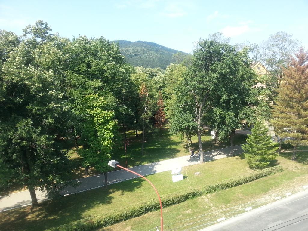 Park Srce Apartments Arandjelovac Quarto foto